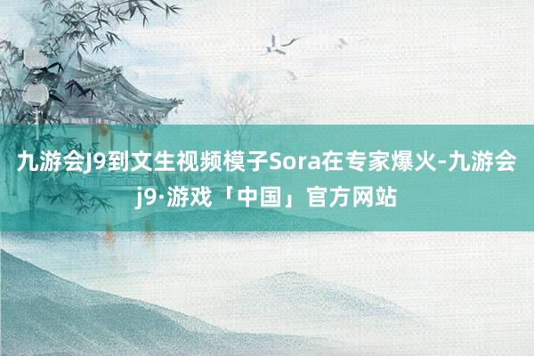 九游会J9到文生视频模子Sora在专家爆火-九游会j9·游戏「中国」官方网站