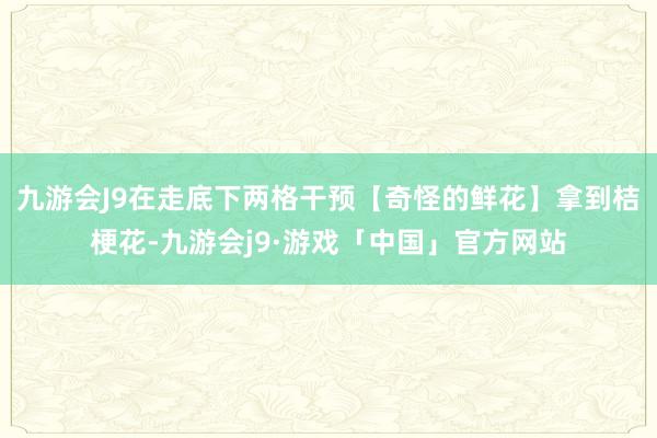 九游会J9在走底下两格干预【奇怪的鲜花】拿到桔梗花-九游会j9·游戏「中国」官方网站