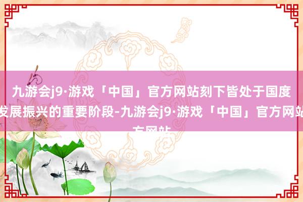 九游会j9·游戏「中国」官方网站刻下皆处于国度发展振兴的重要阶段-九游会j9·游戏「中国」官方网站