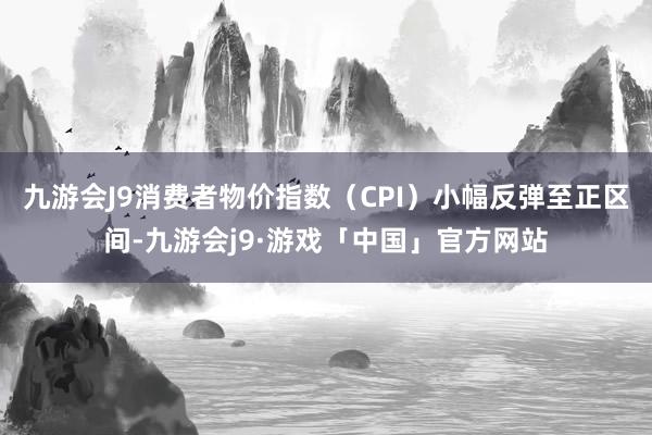 九游会J9消费者物价指数（CPI）小幅反弹至正区间-九游会j9·游戏「中国」官方网站