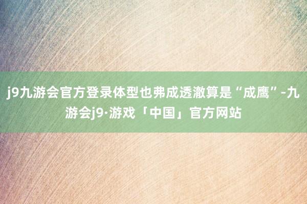 j9九游会官方登录体型也弗成透澈算是“成鹰”-九游会j9·游戏「中国」官方网站