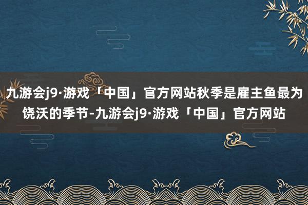 九游会j9·游戏「中国」官方网站秋季是雇主鱼最为饶沃的季节-九游会j9·游戏「中国」官方网站