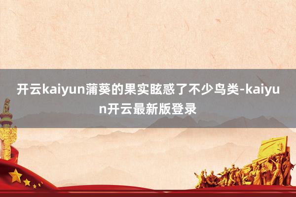 开云kaiyun蒲葵的果实眩惑了不少鸟类-kaiyun开云最新版登录